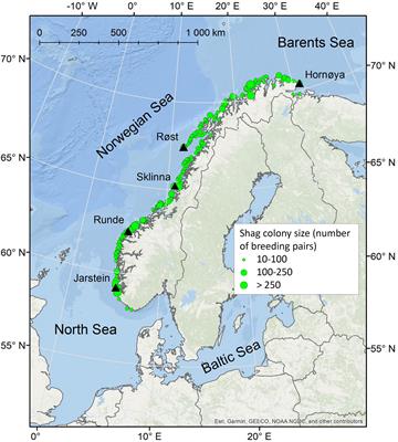 Predicting Foraging Habitat of European Shags - A Multi-Year and Multi-Colony Tracking Approach to Identify Important Areas for Marine Conservation